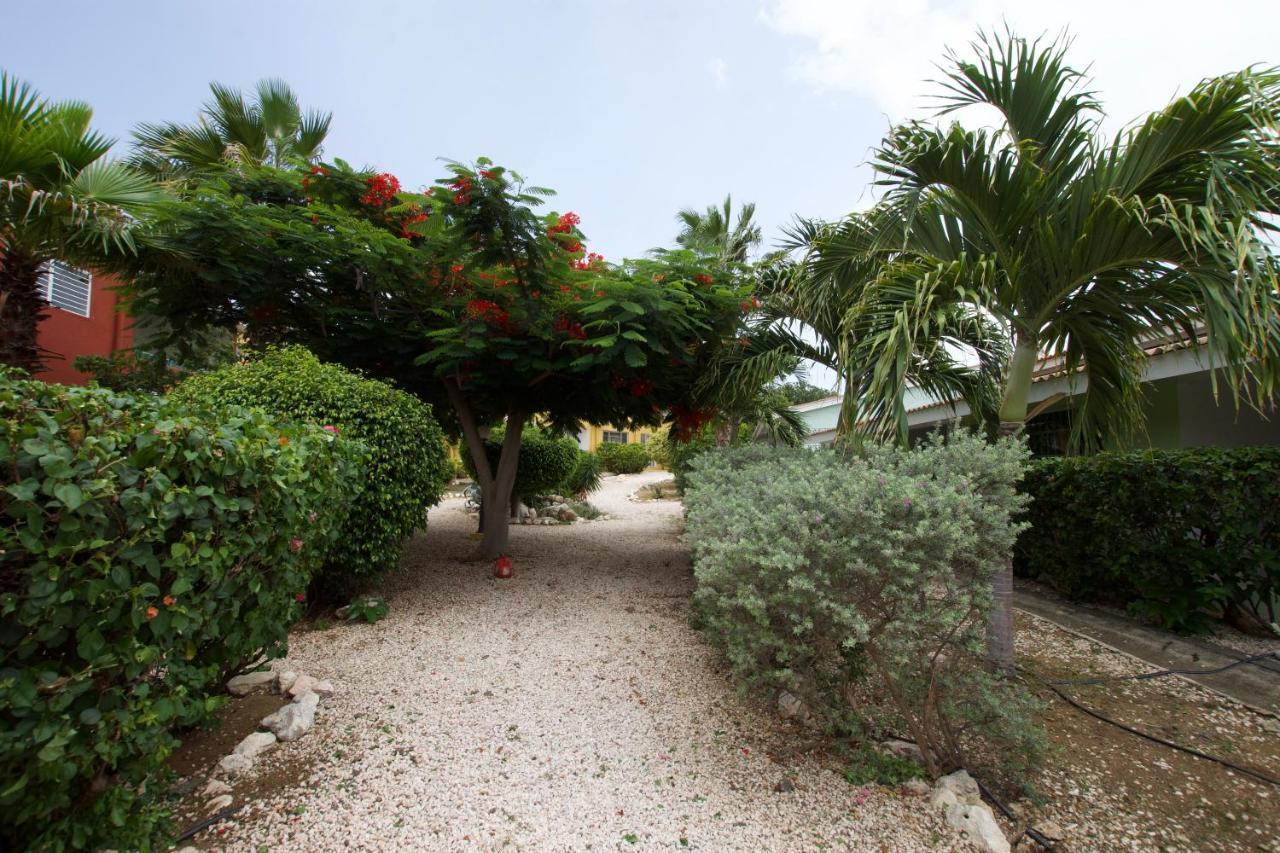 Seru Coral Apartment Willemstad Dış mekan fotoğraf